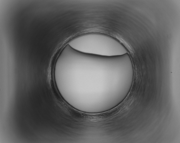 X0000102380486200808010917