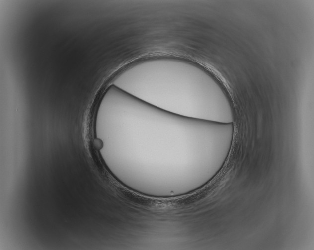 X0000102380487200808010917