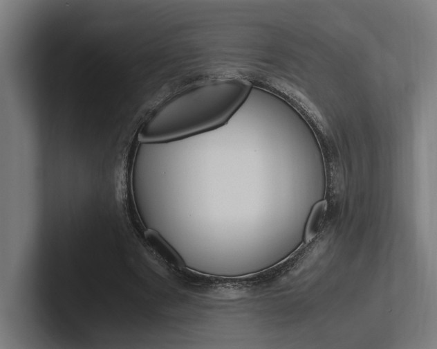 X0000102380489200808010917