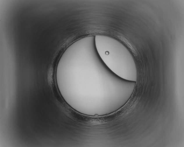 X0000102380490200808010917