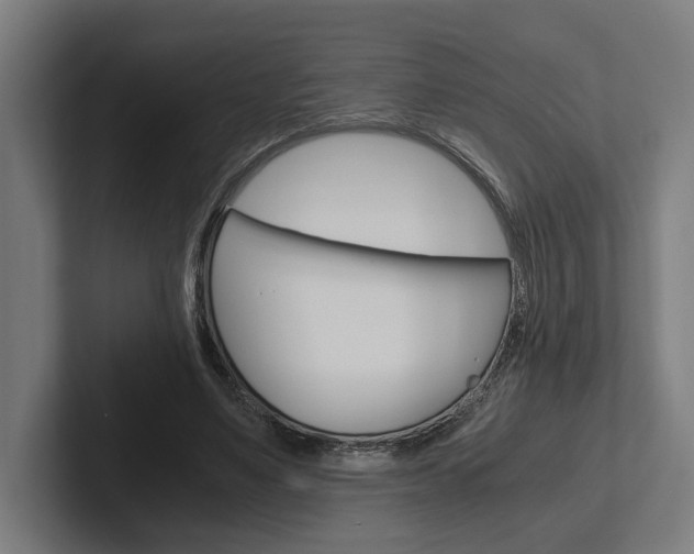 X0000102380491200808010917