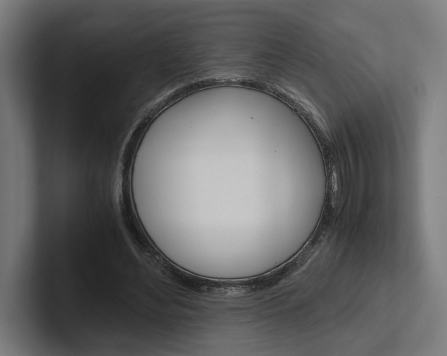X0000102380492200808010917