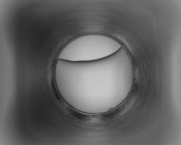 X0000102380495200808010917