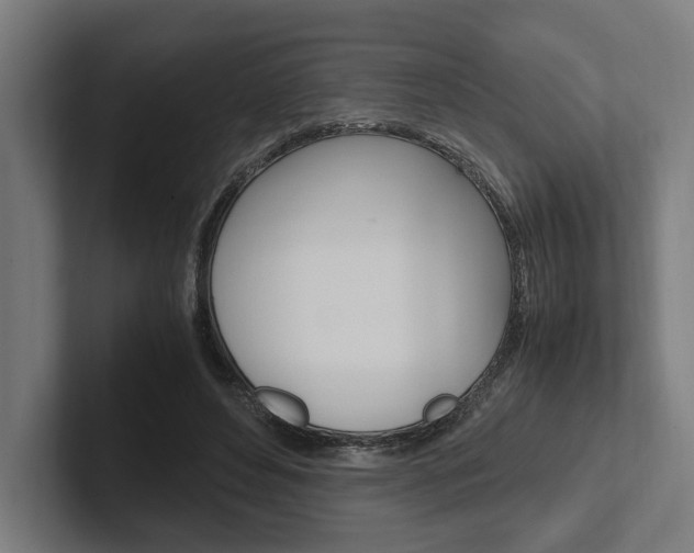 X0000102380496200808010917