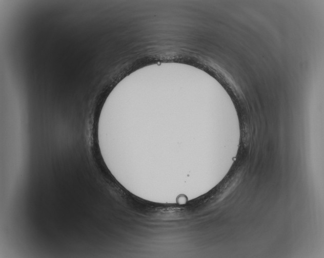 X0000102380497200808010917