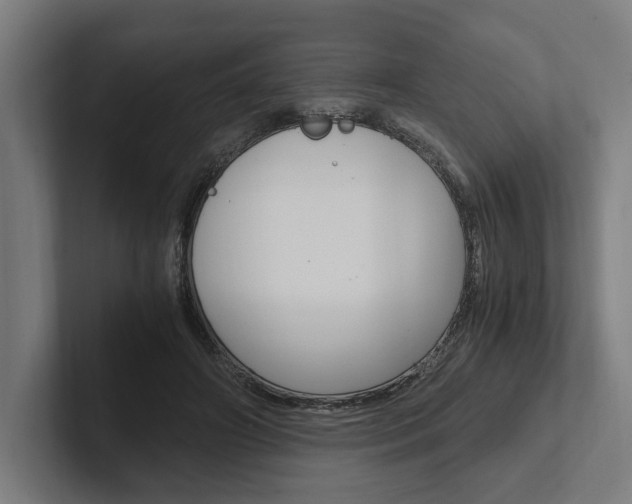 X0000102380498200808010917