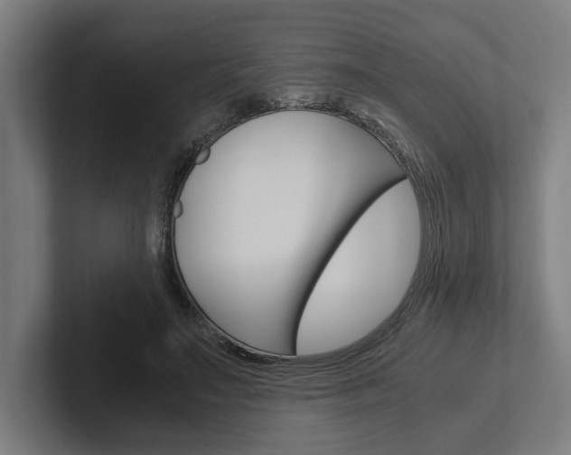 X0000102380499200808010917