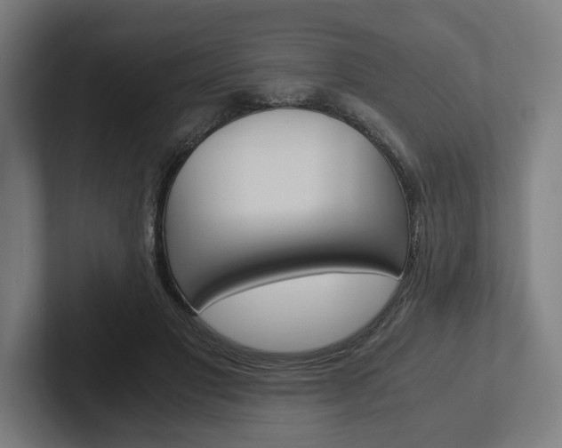 X0000102380501200808010917