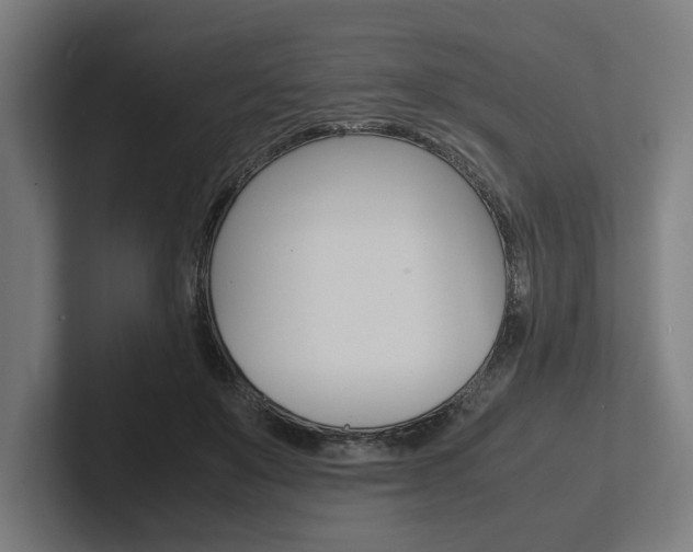 X0000102380503200808010917