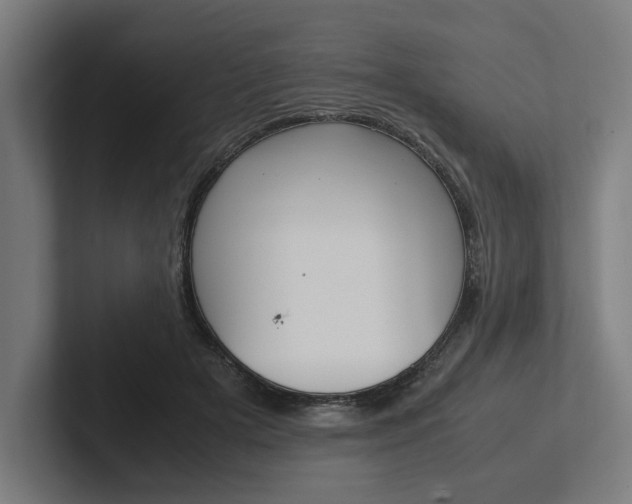 X0000102380505200808010917