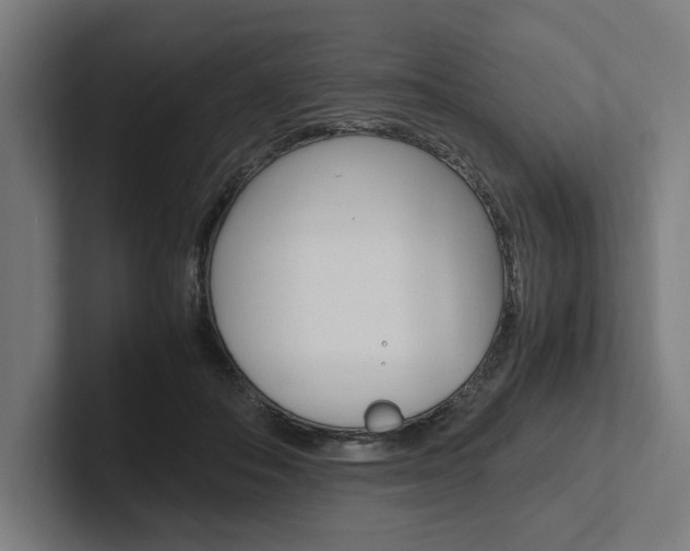 X0000102380506200808010917