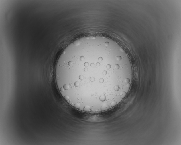X0000102380507200808010917