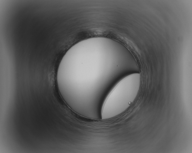X0000102380509200808010917