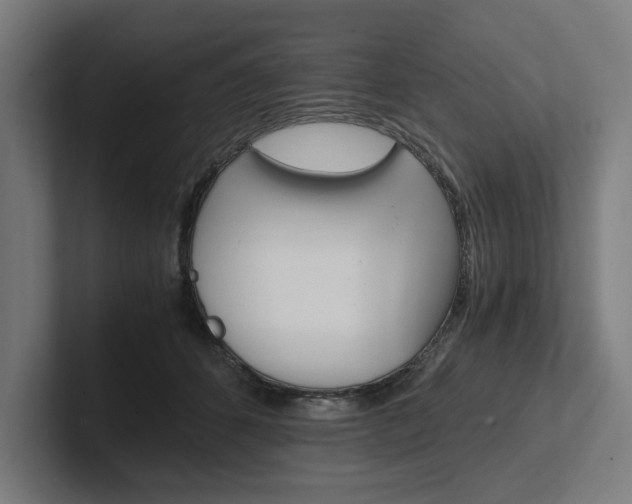 X0000102380512200808010917