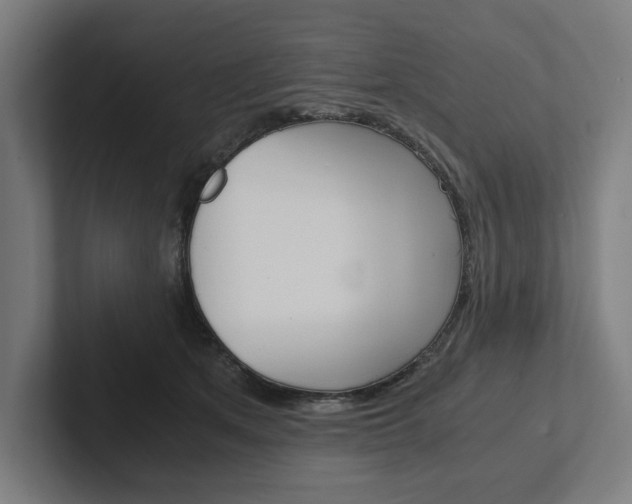 X0000102380513200808010917