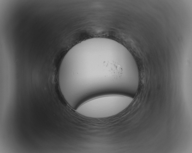 X0000102380515200808010917
