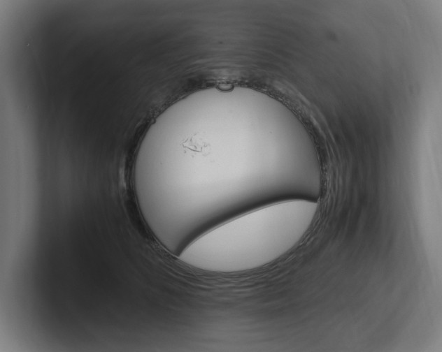 X0000102380516200808010917