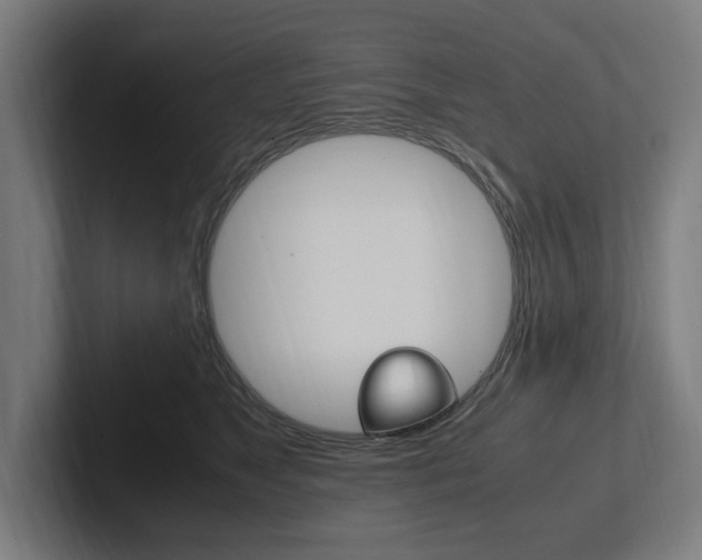 X0000102380517200808010917