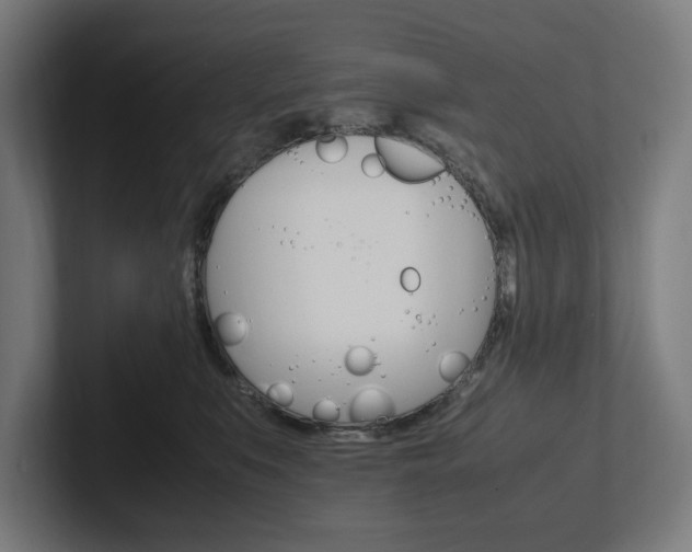 X0000102380519200808010917