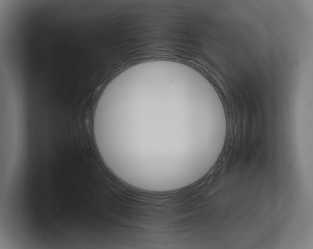 X0000102380520200808010917