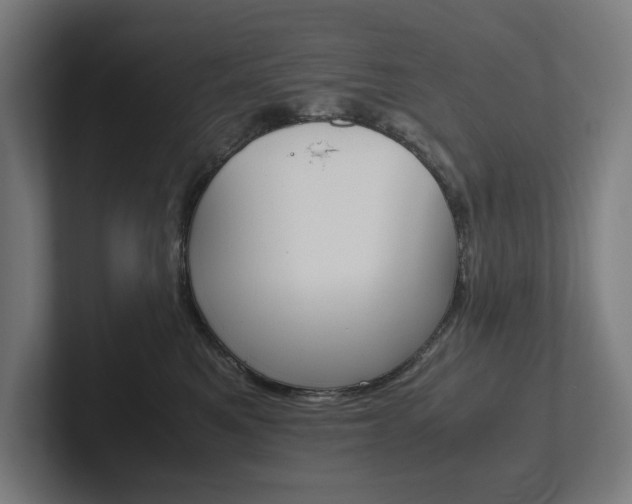 X0000102380521200808010917