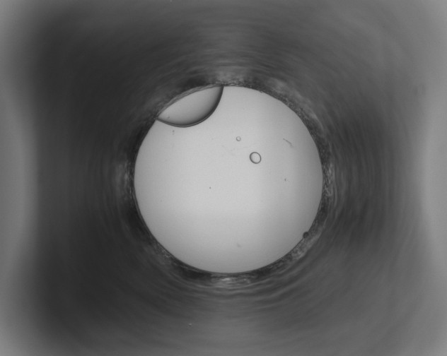 X0000102380522200808010917