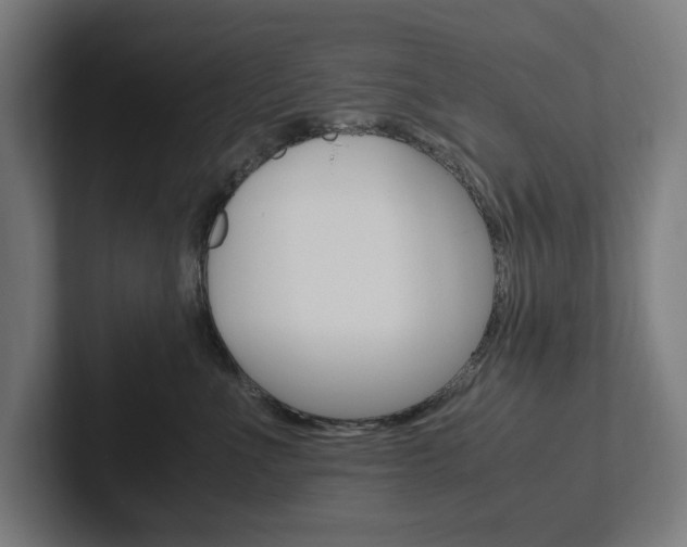 X0000102380523200808010917