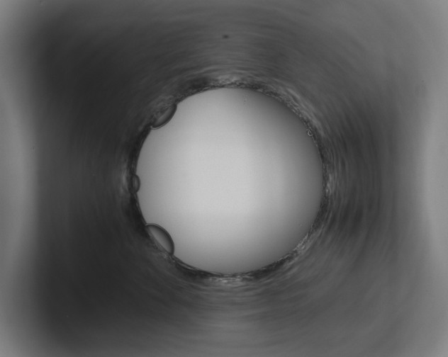 X0000102380524200808010917