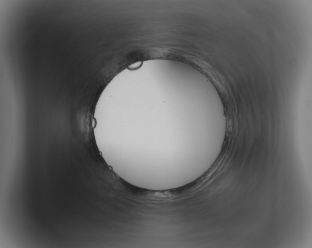 X0000102380525200808010917