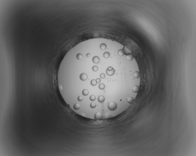 X0000102380527200808010917