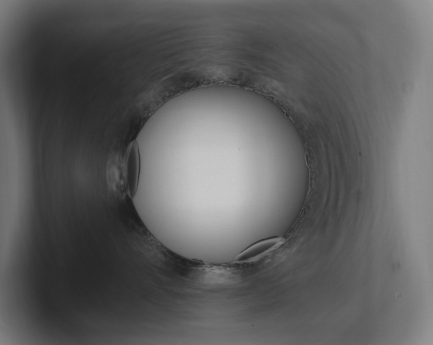 X0000102380528200808010917