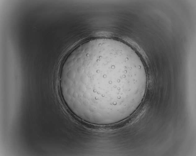 X0000102380529200808010916