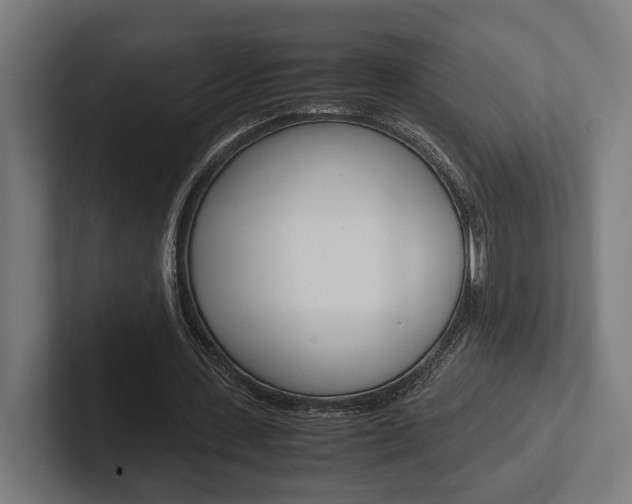 X0000102380531200808010916