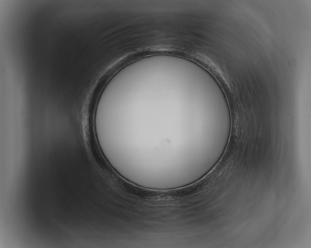 X0000102380535200808010916