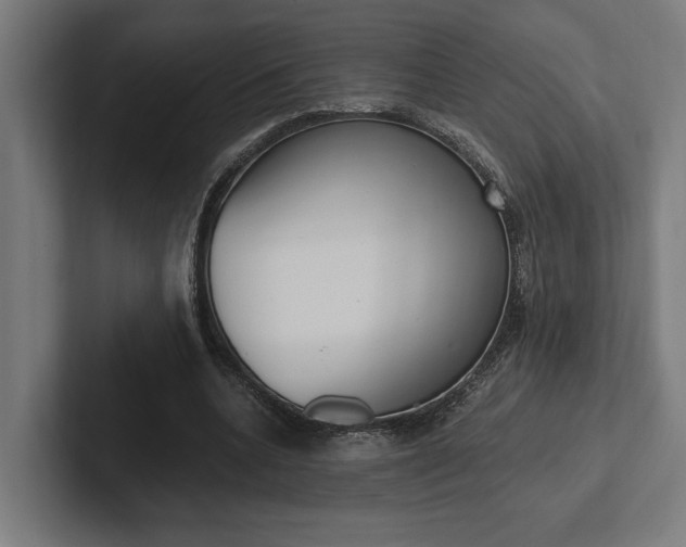 X0000102380536200808010916