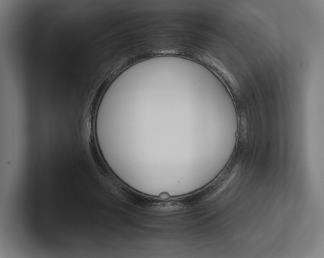 X0000102380541200808010916