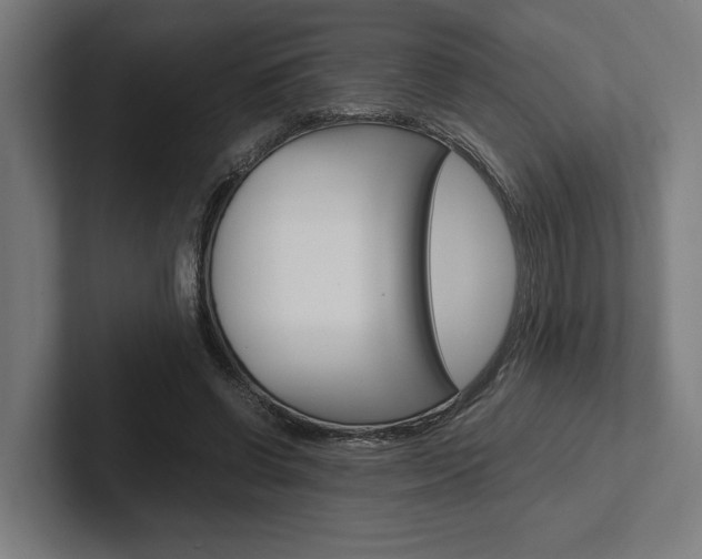 X0000102380542200808010916