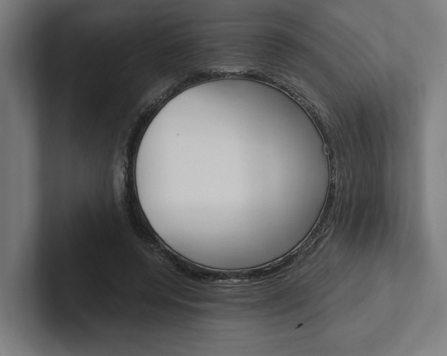 X0000102380544200808010916