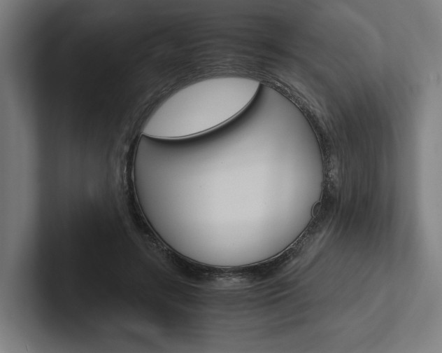 X0000102380547200808010916