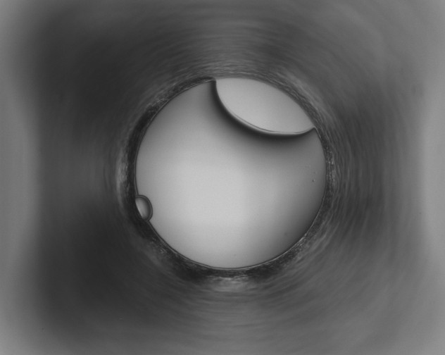 X0000102380548200808010916