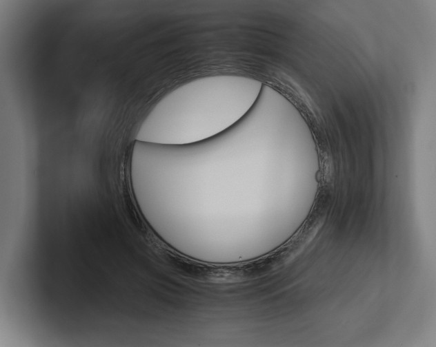 X0000102380549200808010916