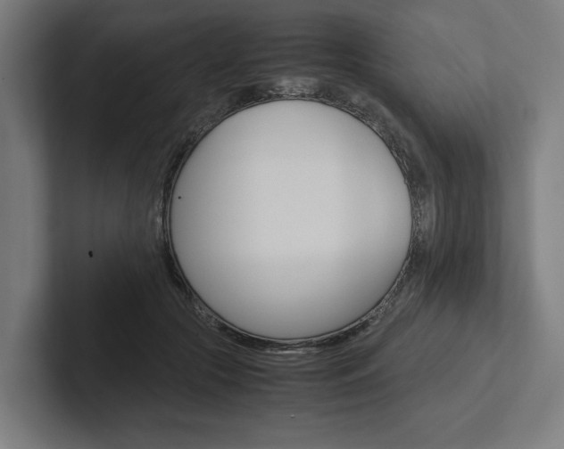X0000102380553200808010916