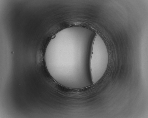 X0000102380555200808010916