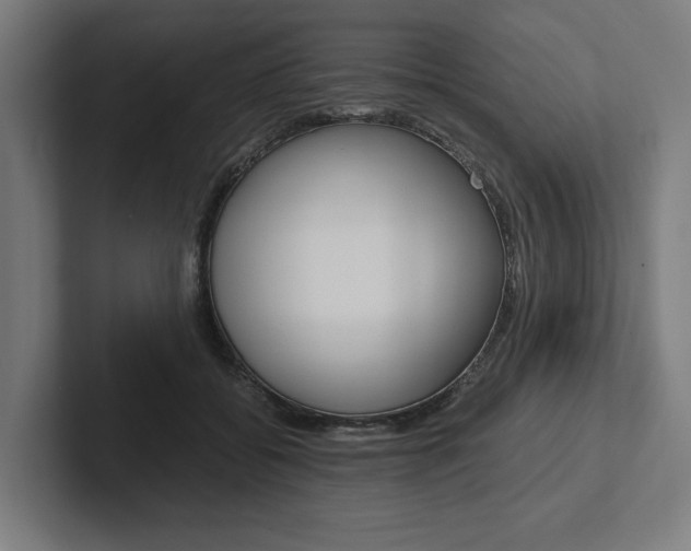 X0000102380556200808010916