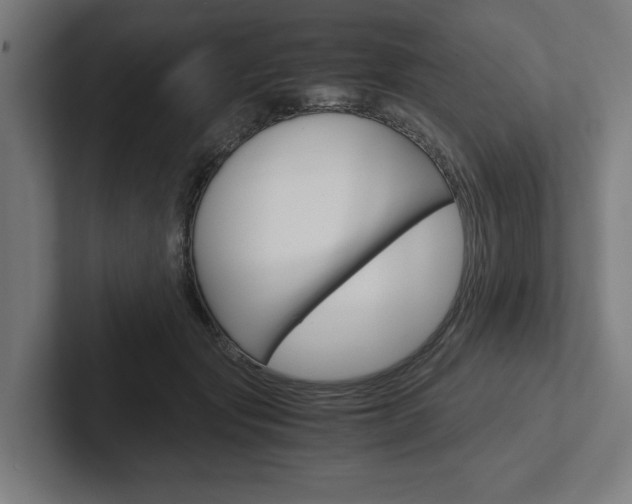 X0000102380557200808010916