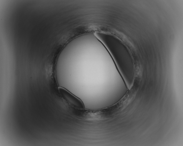 X0000102380560200808010916