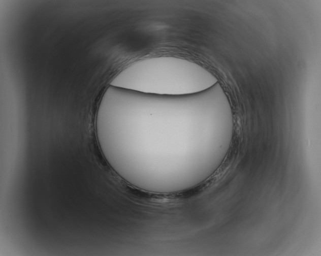 X0000102380561200808010916