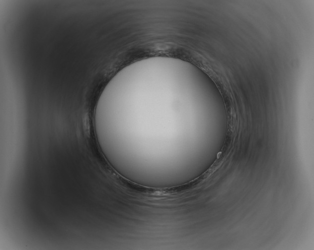 X0000102380562200808010916