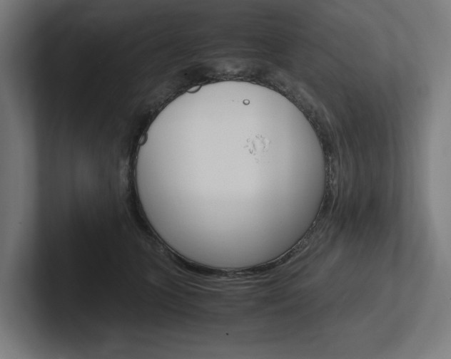 X0000102380563200808010916