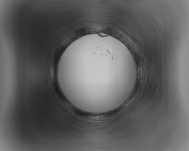 X0000102380564200808010916